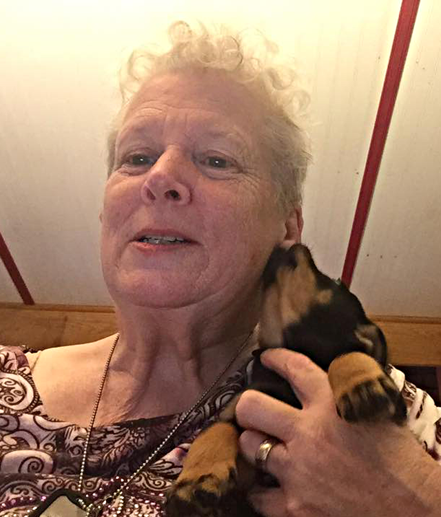 Photograph of Sheila Mesick and one of her Prestige Lancashire Heeler puppies