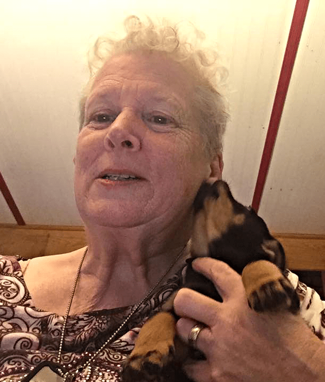 Sheila Mesick, owner and breeder, Prestige Lancashire Heelers