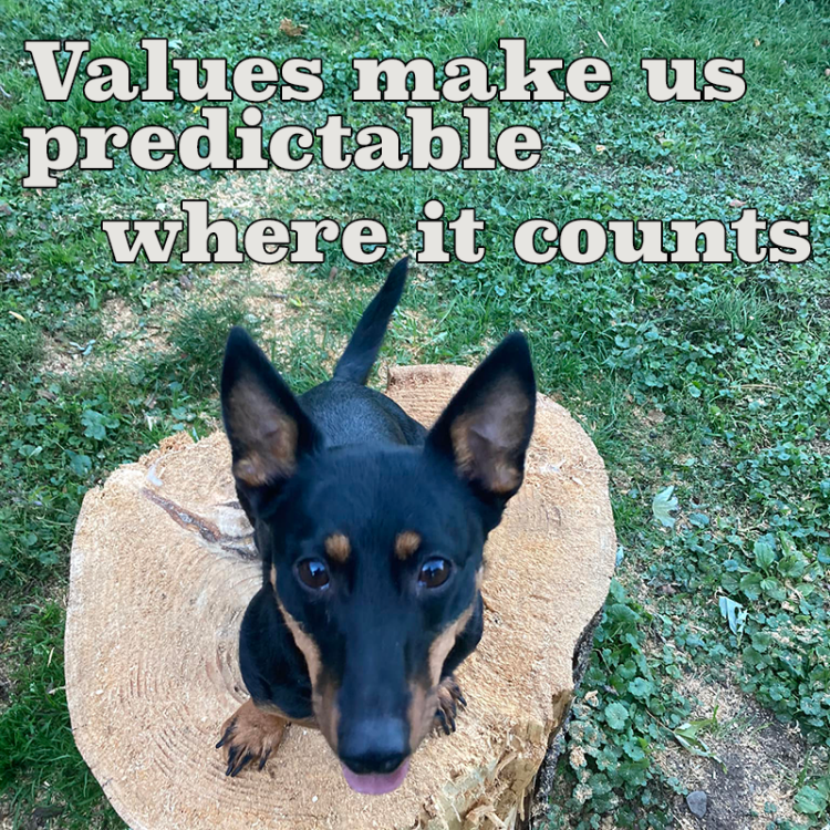 A Lancashire Heeler sits on a tree stump looking sincerely up at the camera. Wording on the photograph say, "Values make up predictable where it counts."