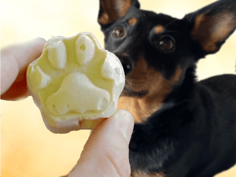 Homemade Frozen Dog Treats for Pet Appreciation&nbsp;Week