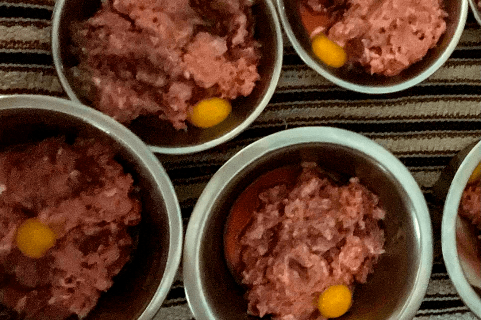 Homemade food prepared and ready to feel to the lucky Prestige Lancashire Heelers.