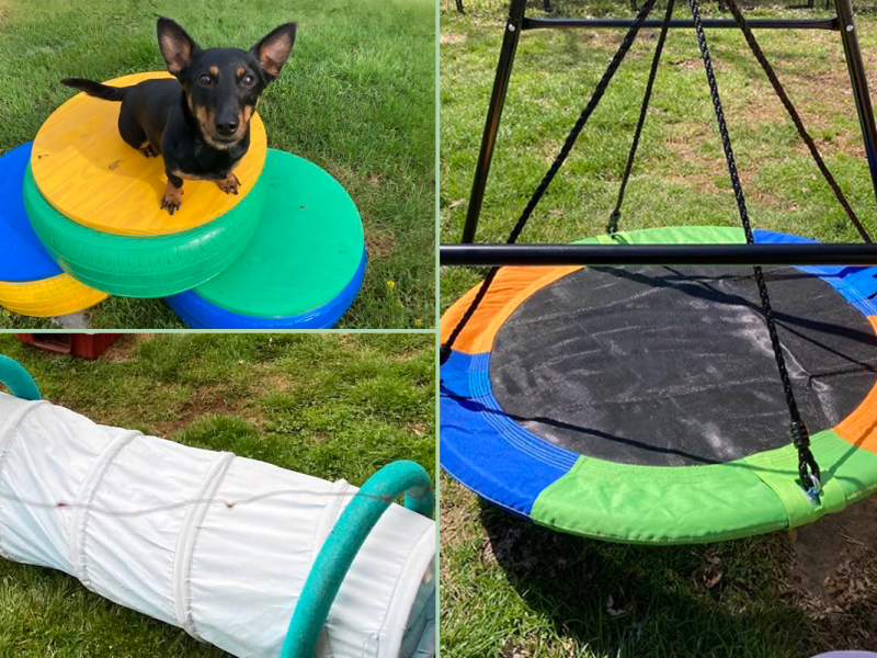 Something for Fun in the&nbsp;Sun