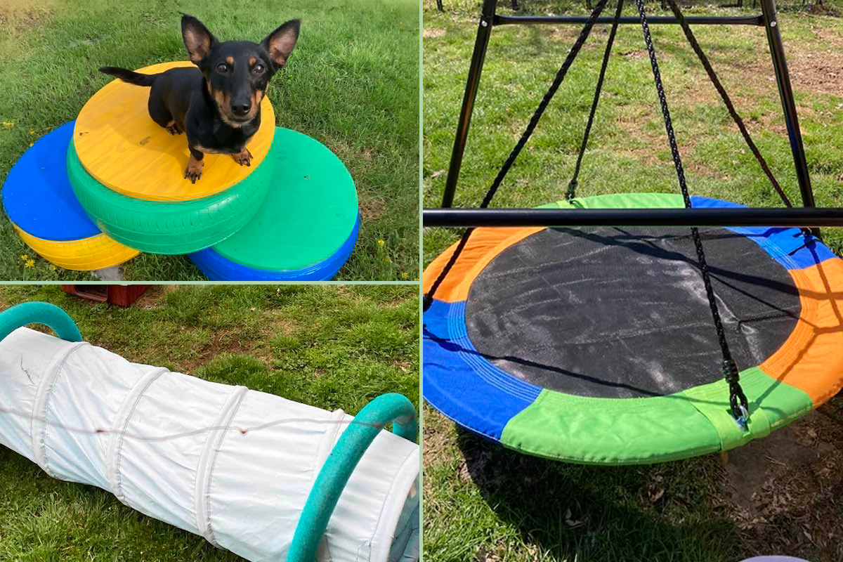 Image of brightly-colored play equipment in the dog yard at Prestige Lancashire Heelers