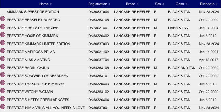 Image downloaded from the OFA website in August 2026 showing the Prestige Lancashire Heelers who have health screening results on file.